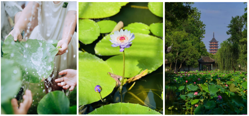 微信图片_20250210095114 微信图片_20250210095114