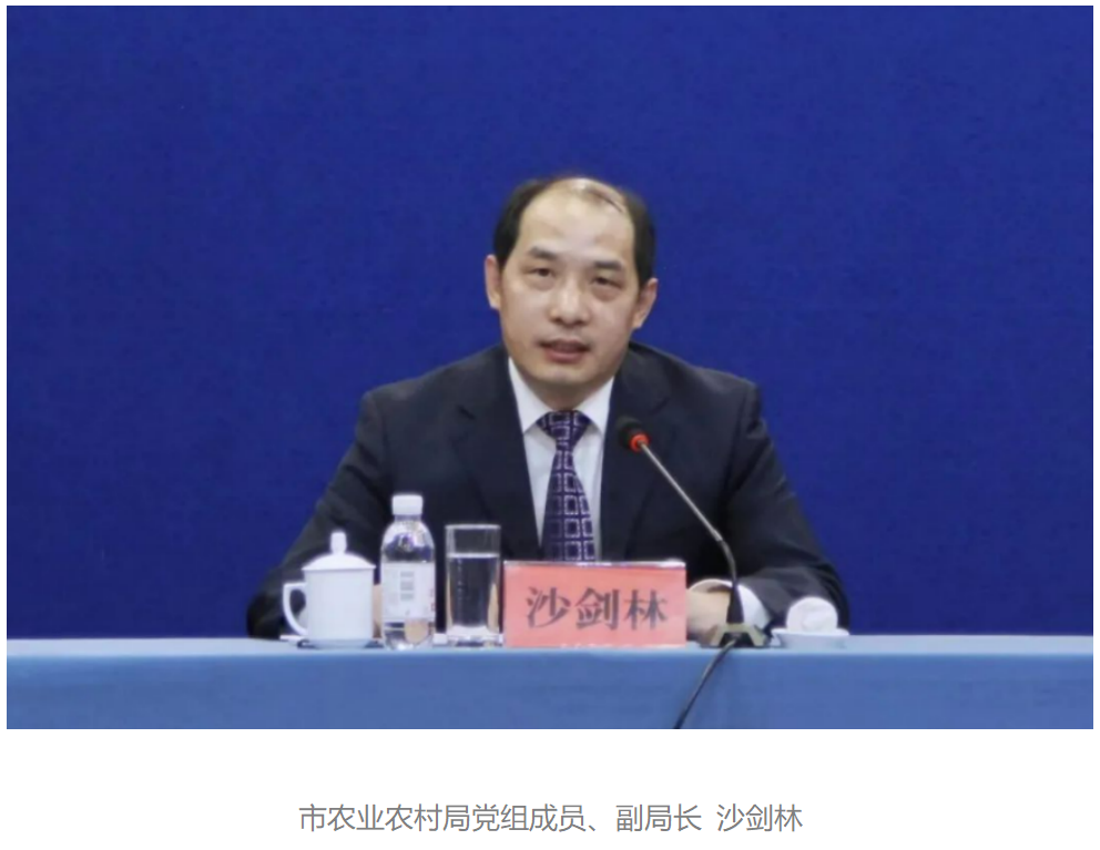 ¿Ê±|AG(AsiaGaming)ÓÅÖÊÔËÓªÉÌ